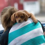 「みんなに言ってるんでしょ?」は恋を壊す言葉――素直になれない人が見落とす真実