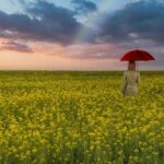 「彼との復縁はない」と言われた。でも私は、自分の気持ちに従った。