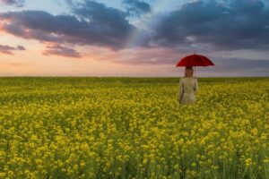 「彼との復縁はない」と言われた。でも私は、自分の気持ちに従った。